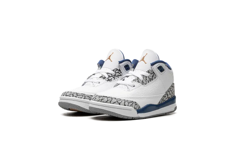 Air Jordan 3 TD “Wizards” (DM0968-148)