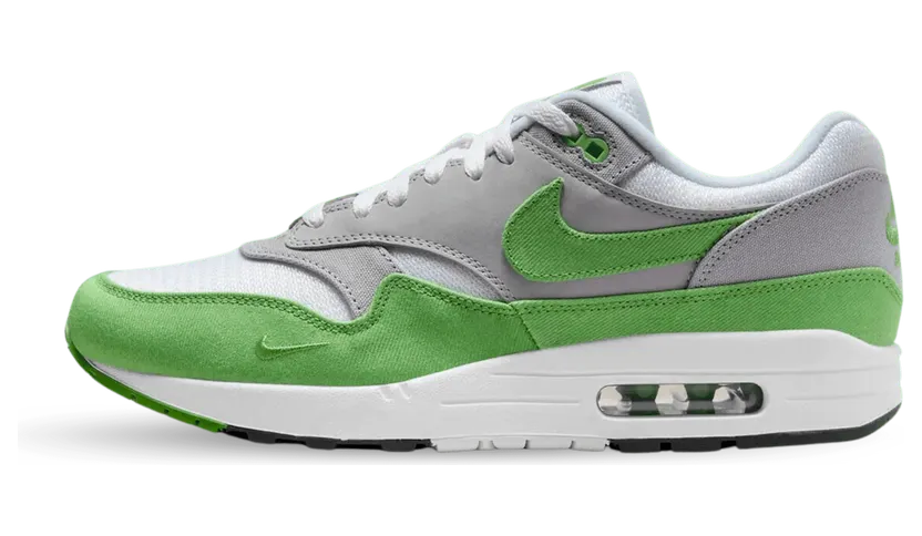 Nike Air Max 1 Patta 20th Anniversary (HF1012-300)