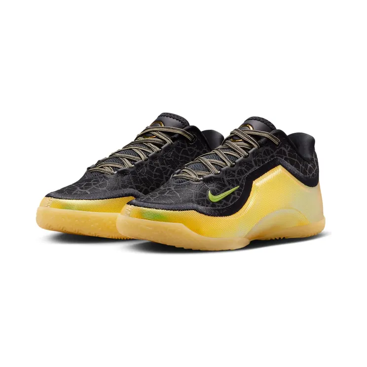 nike-lebron IX4878-005
