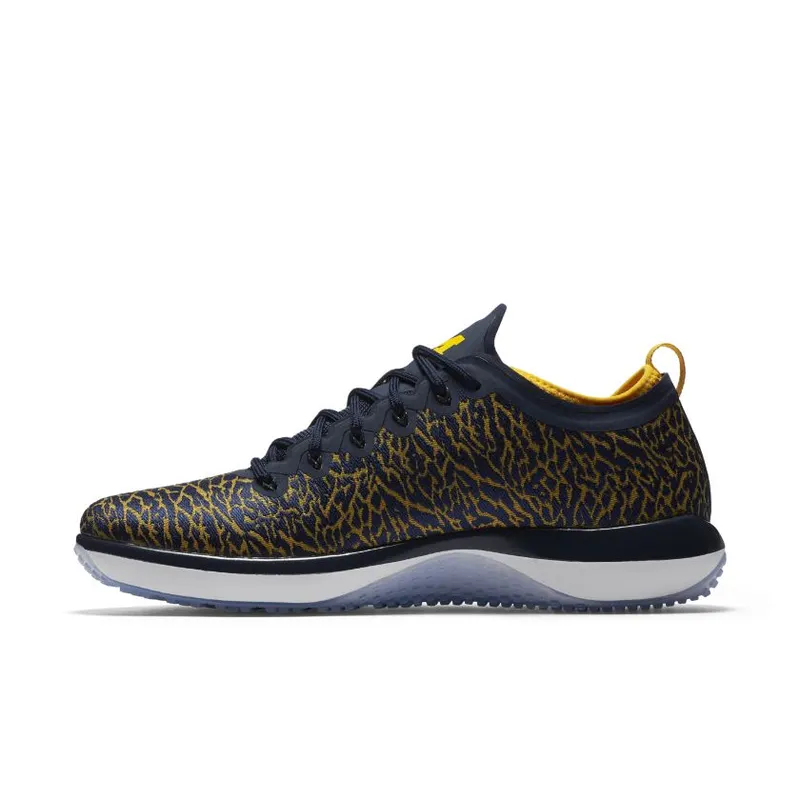 Jordan Trainer 1 Low Michigan College Navy/White-Amarillo (845403-420)