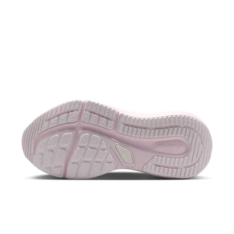 Nike Winflo 12 Purple (HV9273-500)