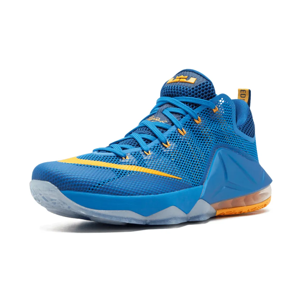 Nike Lebron 12 Low “Entourage” (724557-484)