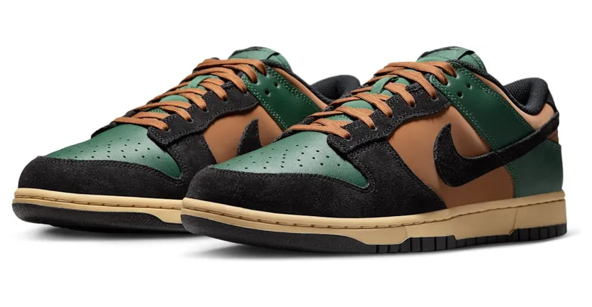nike-dunk IM4414-300