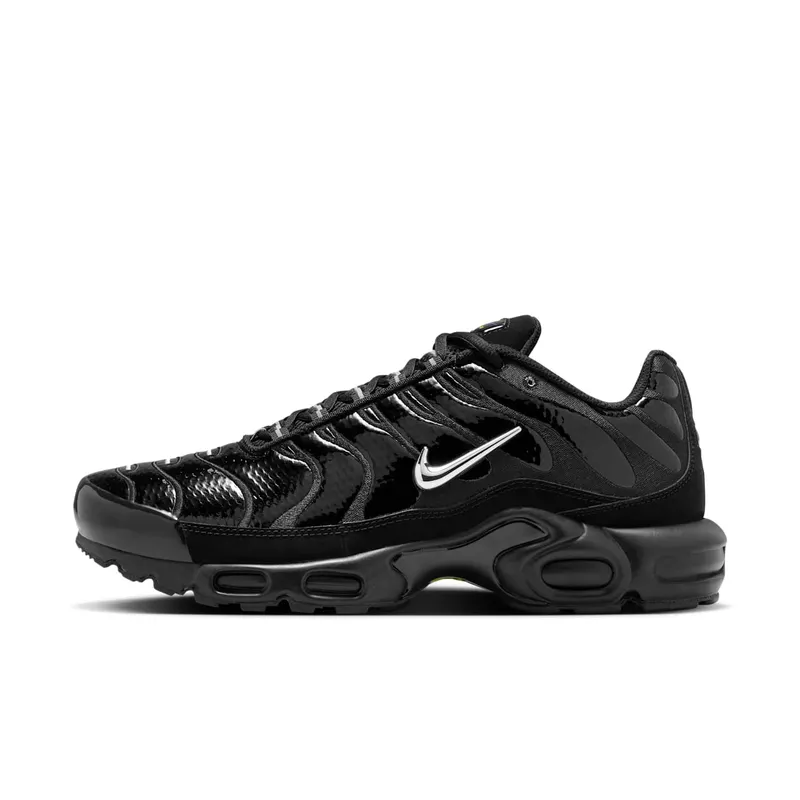 Nike Air Max Plus Black Chrome (FJ2591-001)