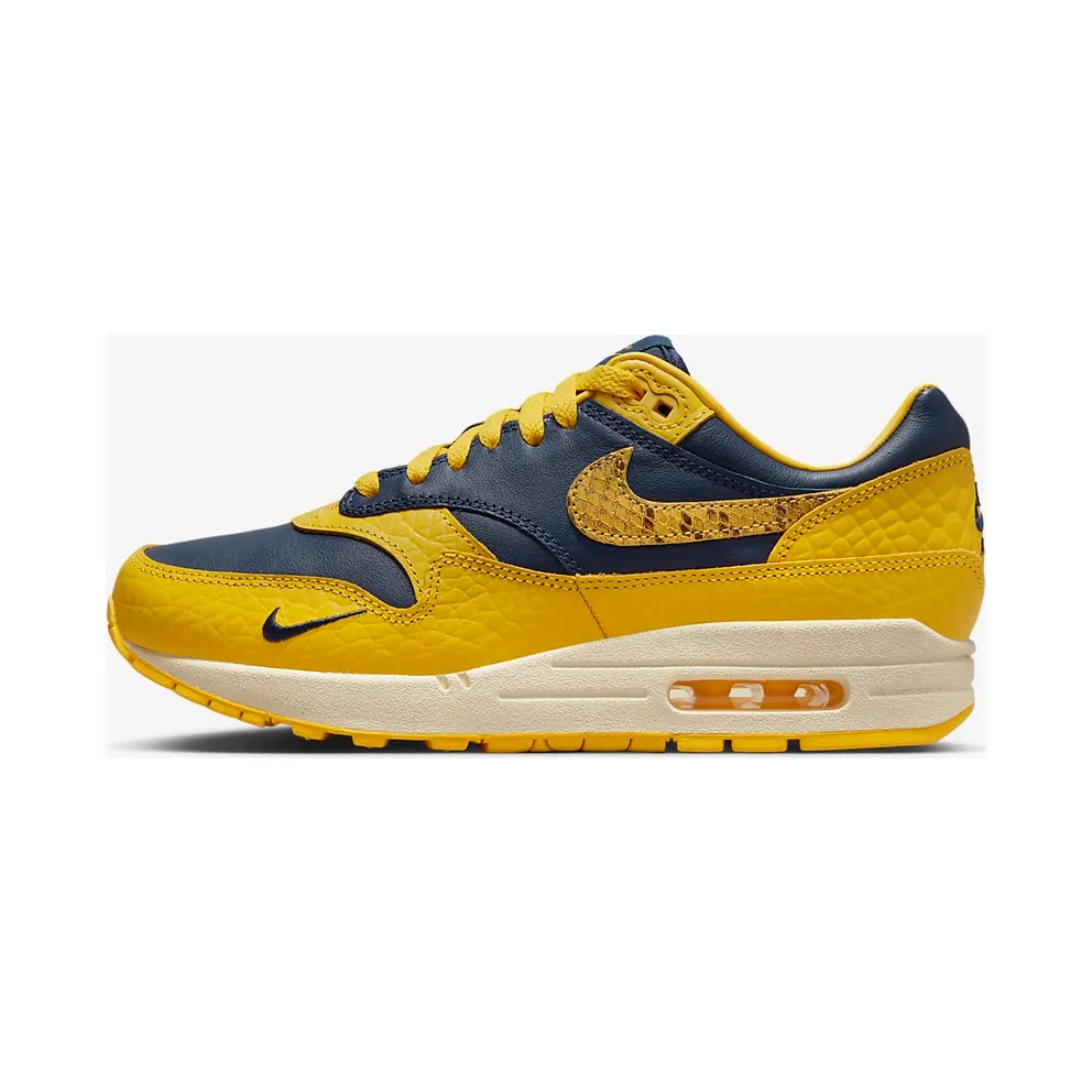 Nike Air Max 1 CO.JP Michigan Head to Head (W) (FJ5479-410)