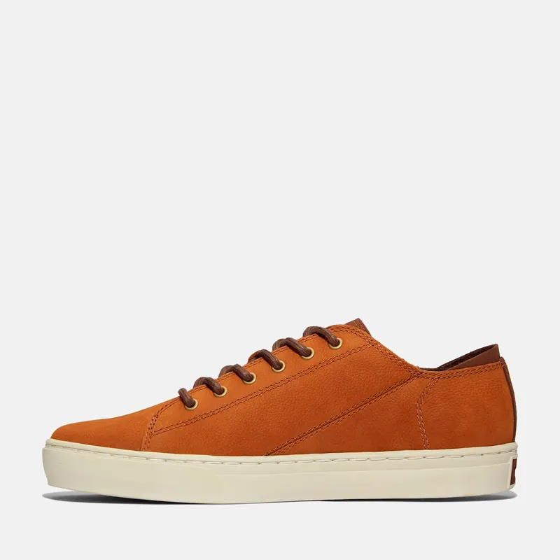 Lage Timberland ADV 2.0 CUPSOLE MODERN OX (TB0A41AQF13)
