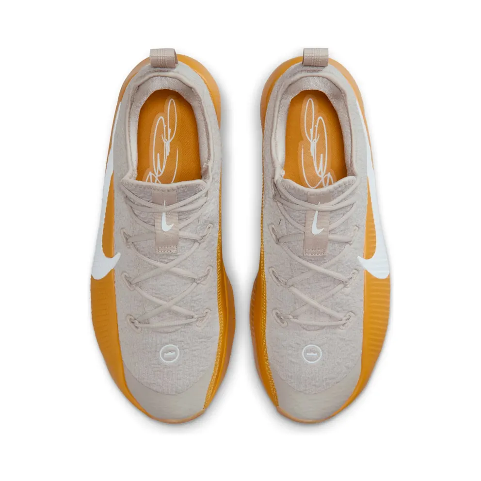 Nike LeBron Cream Ii/Gold Leaf/White (FJ6151-202)