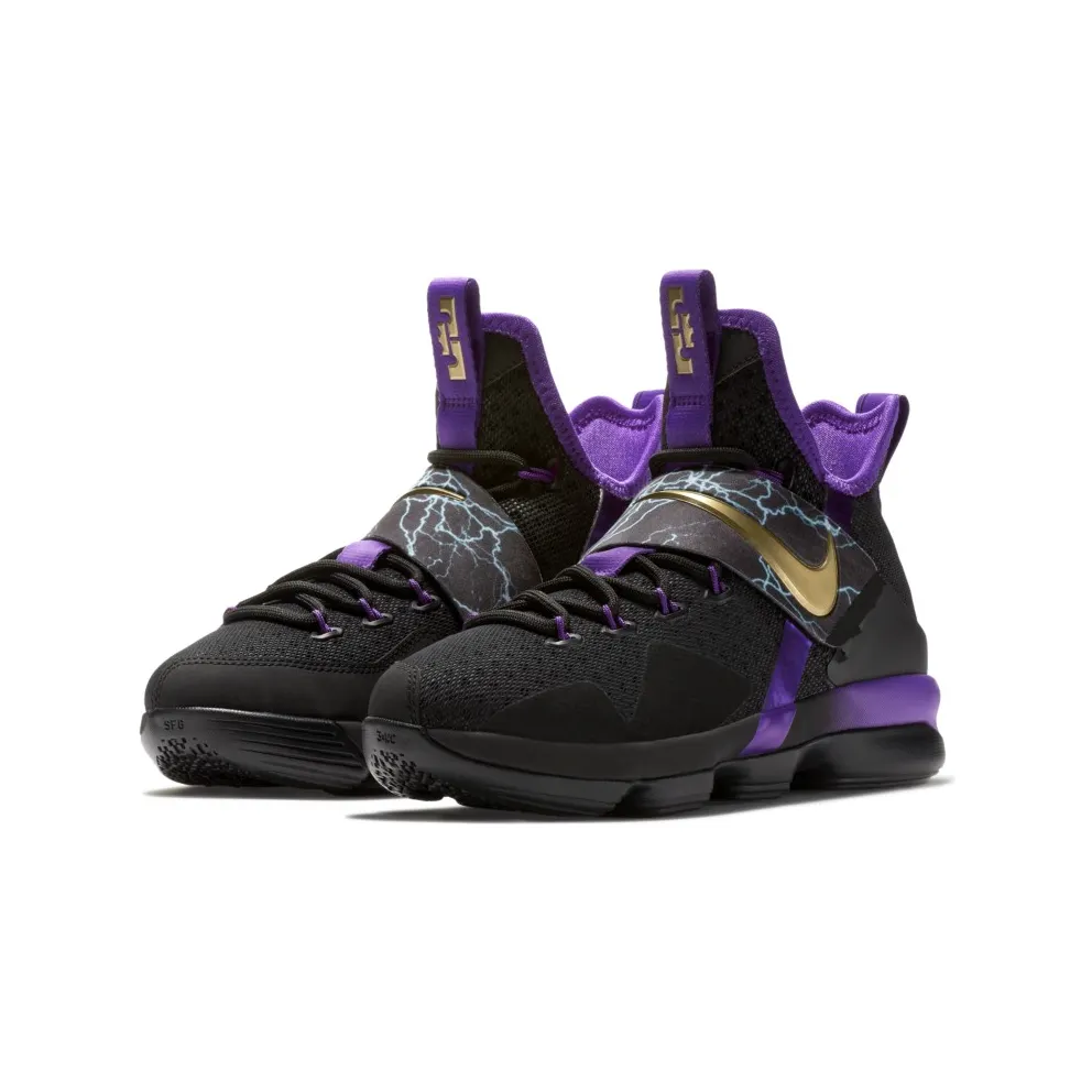Nike LeBron 14 The Undertaker (GS) Hyper Grape/Metallic Gold-Black (AA3258-590)