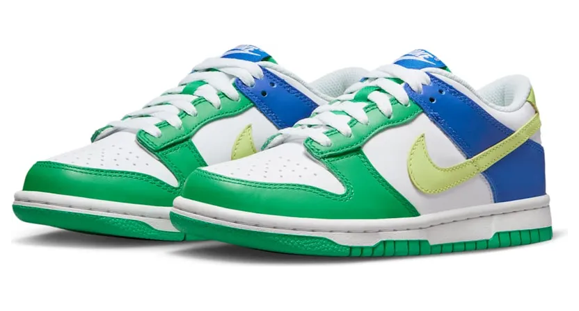 nike-dunk FN6973-100