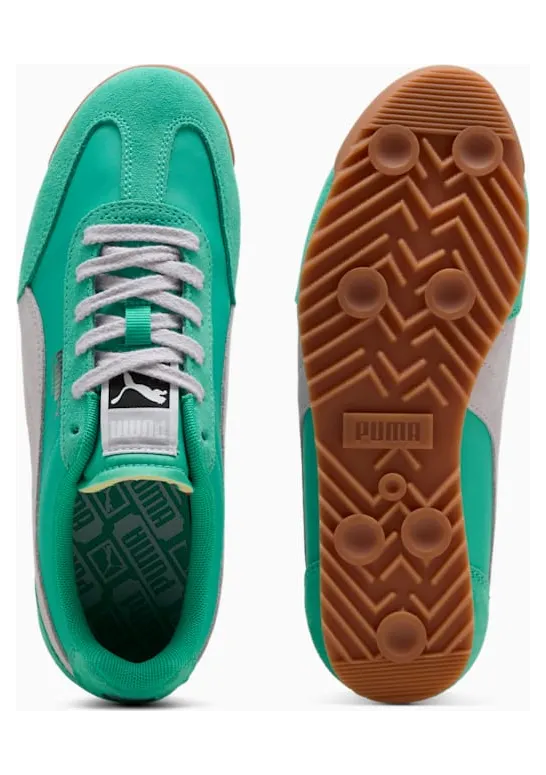 puma-arizona 39868230