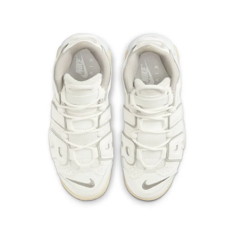 Nike Air More Uptempoen Grey (DM1023-001)