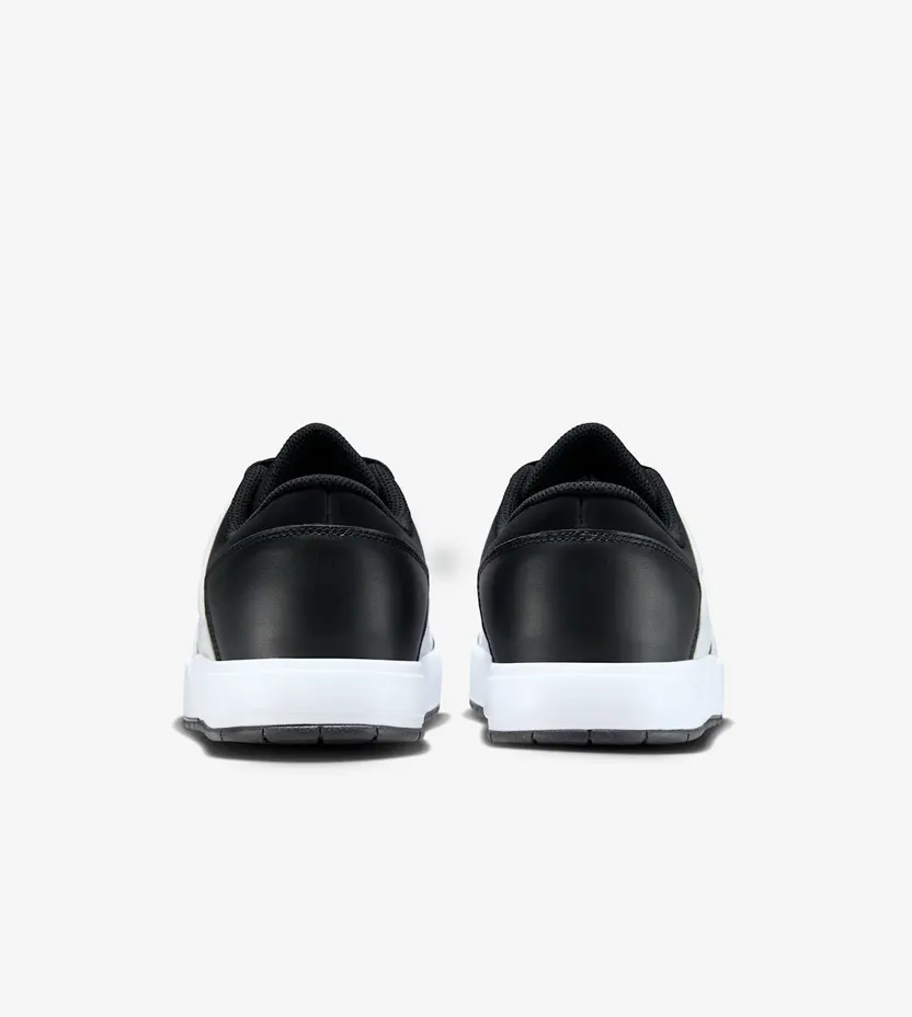 air-jordan-1-low DV5141-100