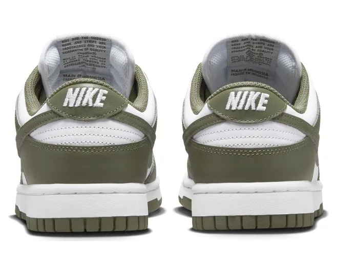 nike-dunk DD1503-120
