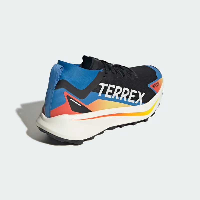 Adidas Terrex Agravic GTX Trail Running Core Black / Cloud White / Ray Blue (JR9105)