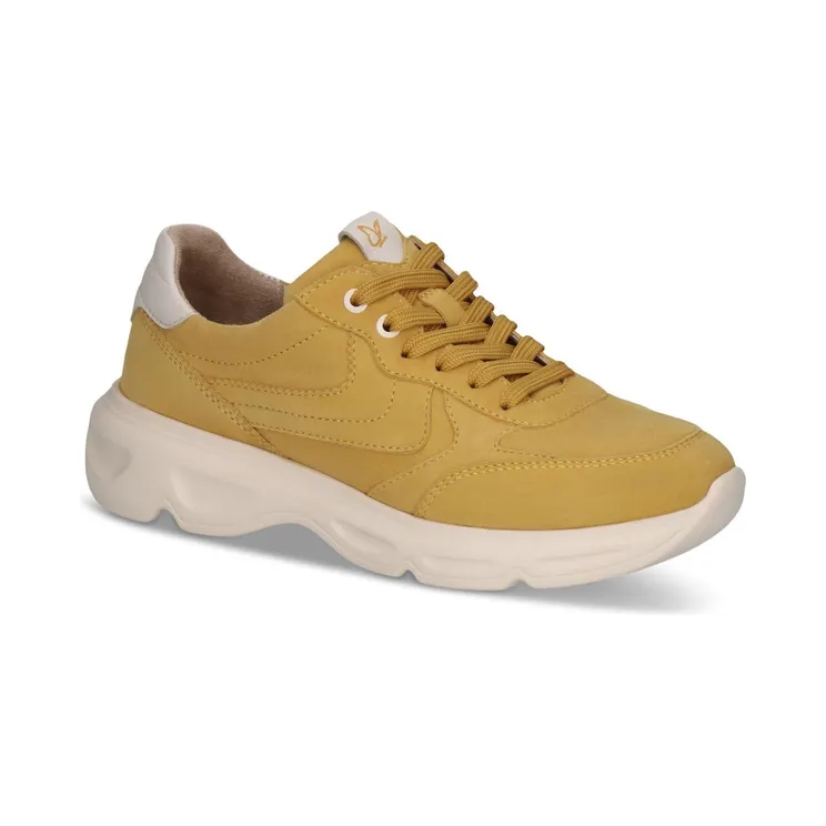 Caprice Yellow (92371546610)