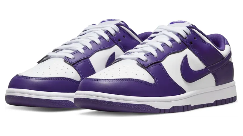 nike-dunk DD1391-104