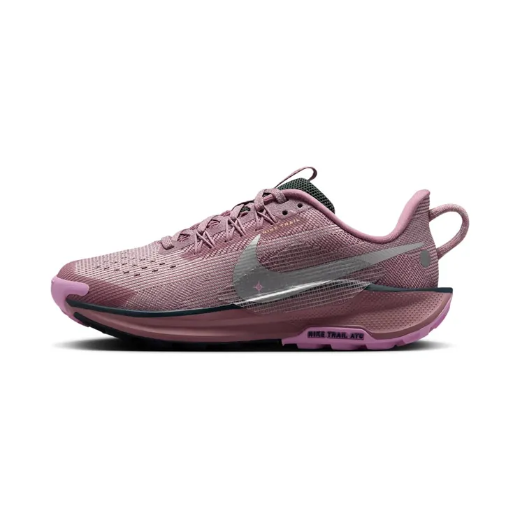 Nike Pegasus Trail 5 “Plum Dust / Platinum Violet / Beyond Pink / Metallic Silver” (FV5638-500)