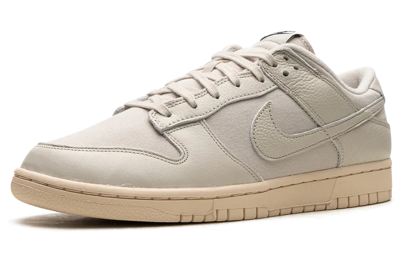 nike-dunk DZ2538-100