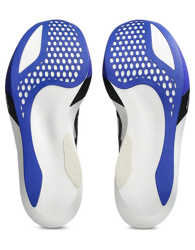 asics-metaspeed-sky 1013A162-101