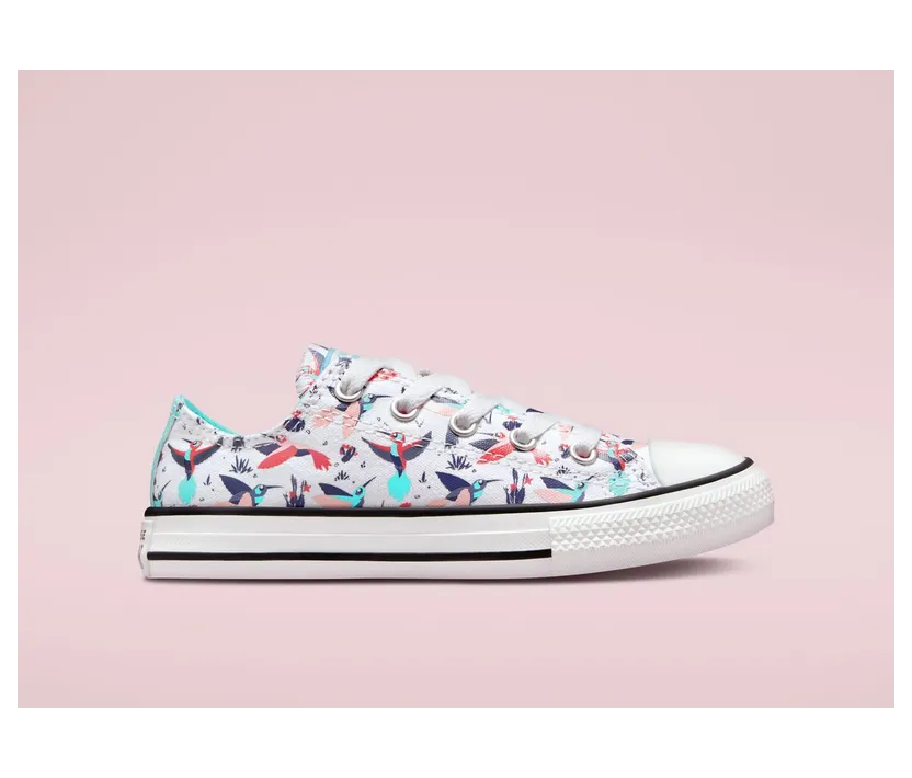 converse-chuck-taylor-all-star A00930C