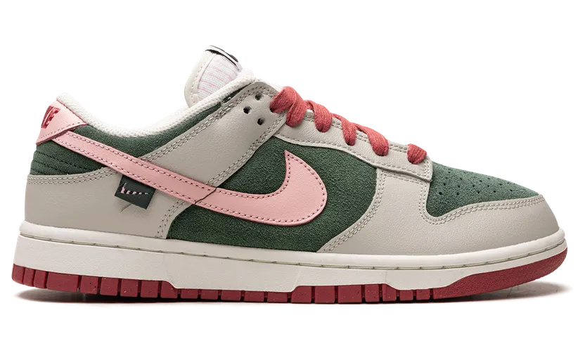 nike-dunk FN8923-061