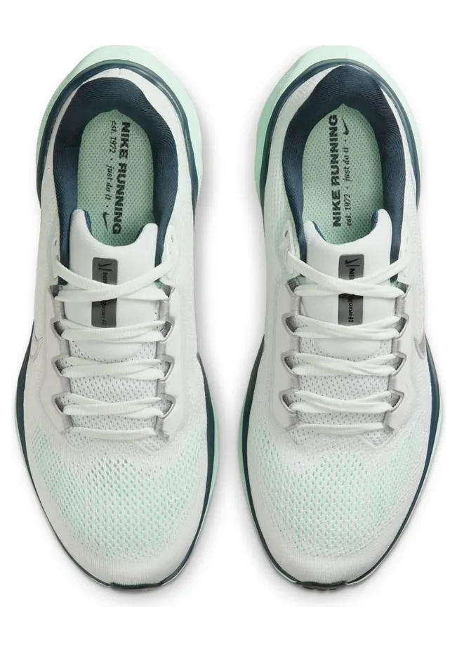 nike-air-pegasus FD2723-405