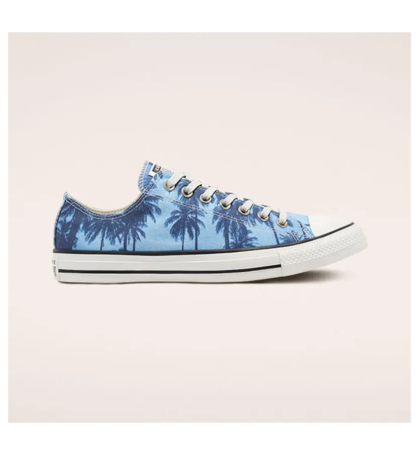 converse-chuck-taylor-all-star 171299C