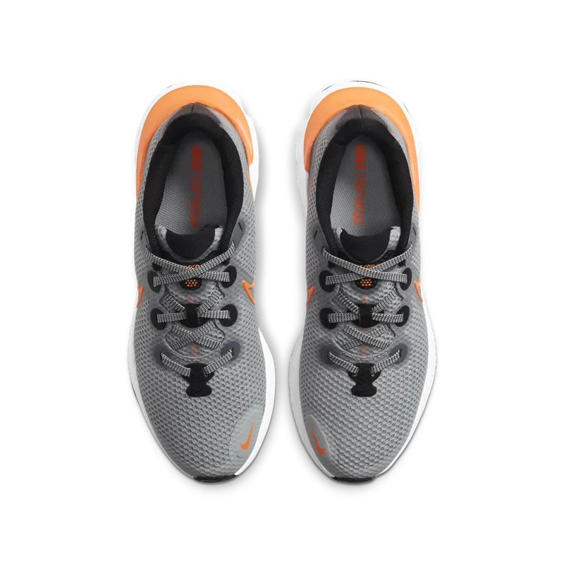 Nike Renew Run Light Smoke Grey (GS) Light Smoke Grey/Black/White (CT1430-070)