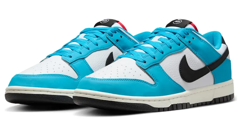 nike-dunk HJ9088-488