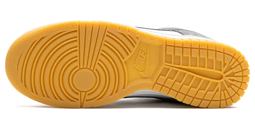 nike-dunk FV0389-100