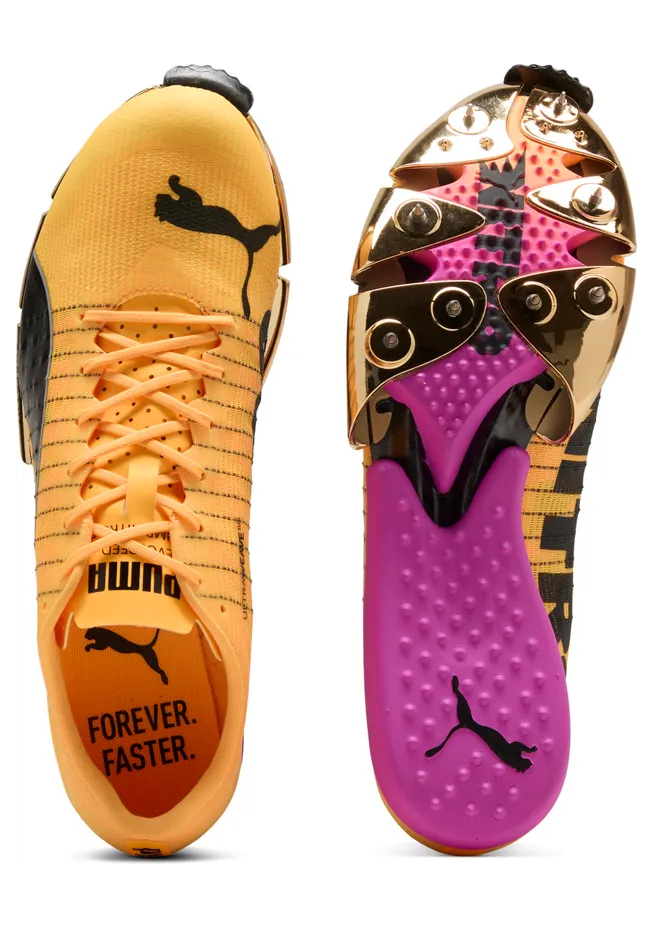 puma-evospeed 311865_02