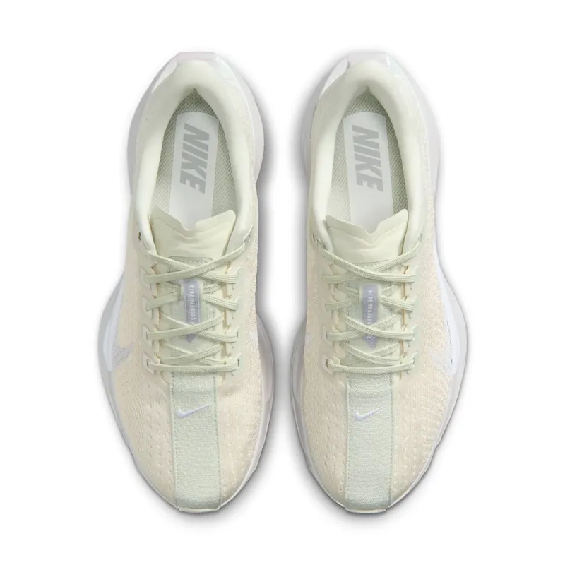 Nike Pegasus Sea Glass/Chalk/Pure Platinum/White (IO9912-001)
