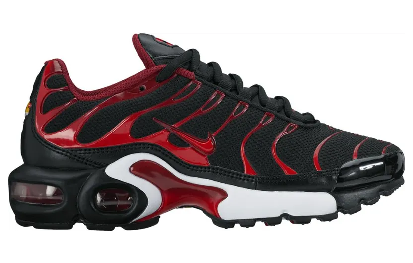 Nike Air Max Plus Bred (GS)