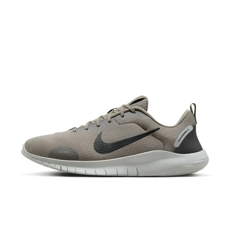 Nike Flex Experience Run 12 Light Army Light Silver Vintage Green (DV0740-300)