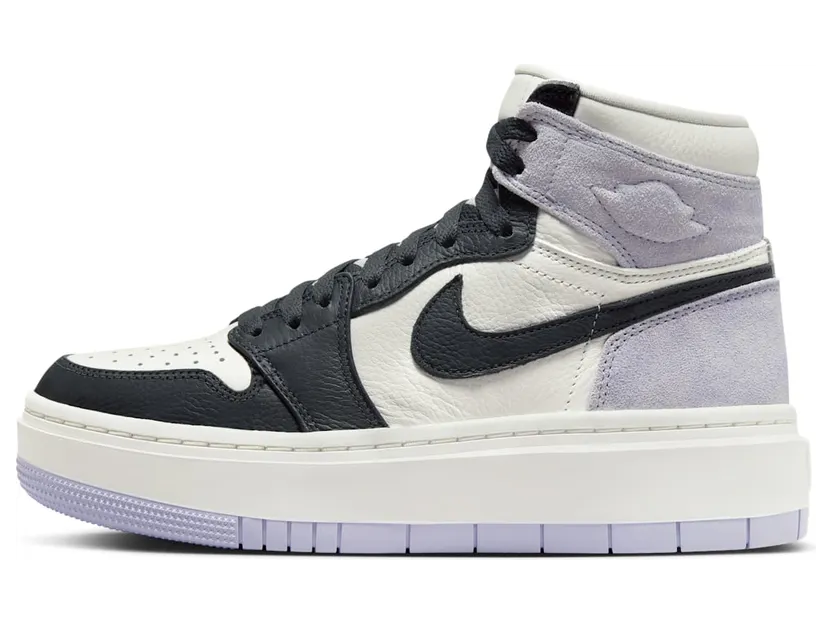 Air Jordan 1 DN3253-500