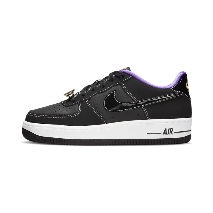 Nike Air Force 1 “Black / Iron Grey / White” (DQ0300-001)