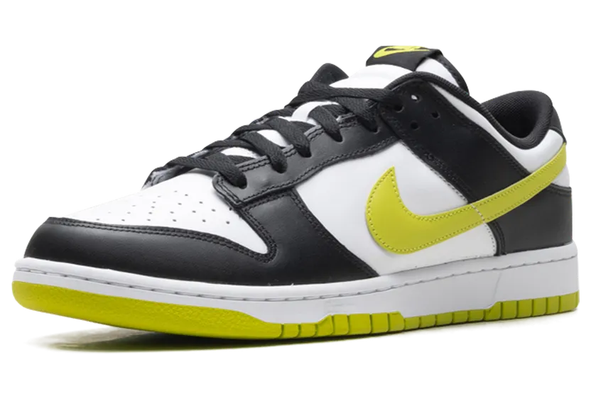 nike-dunk DV0833-110