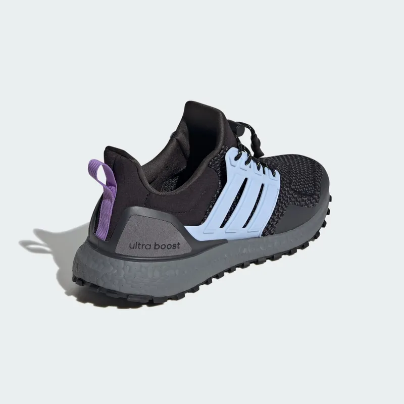 adidas Ultra Boost 1.0 Core Black Blue Dawn Carbon (ID9640)