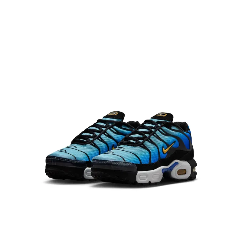 Nike Air Max Plus Hyper Blue (FZ0023-032)
