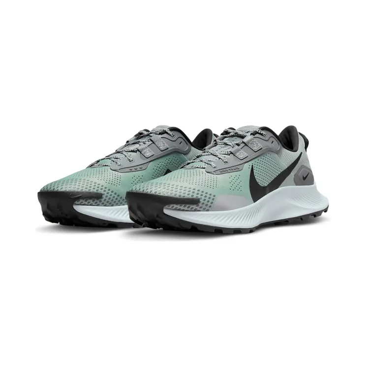 nike-air-pegasus DV3035-001