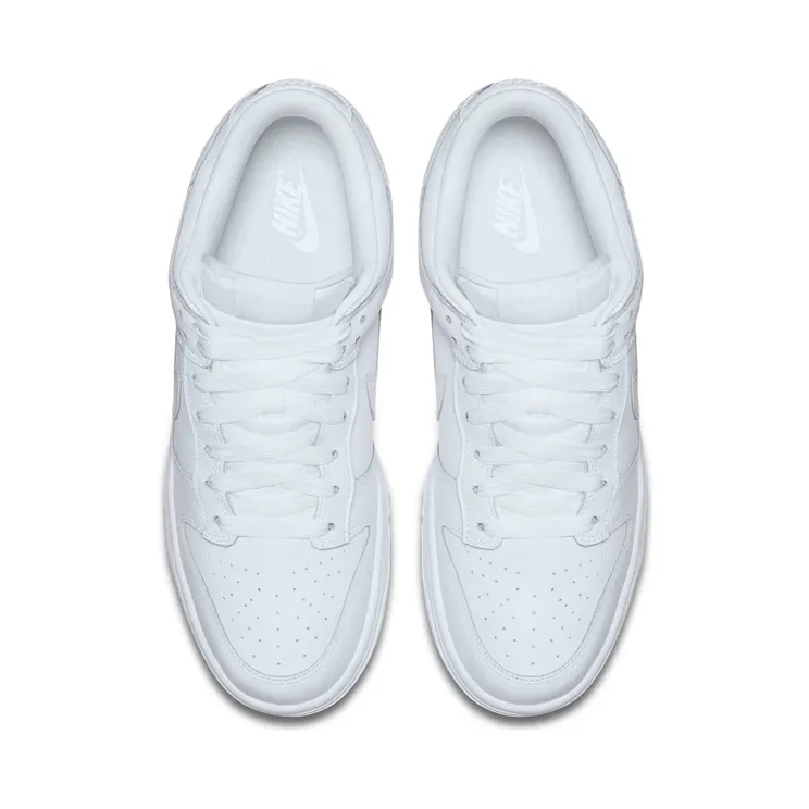 nike-dunk 904234-100