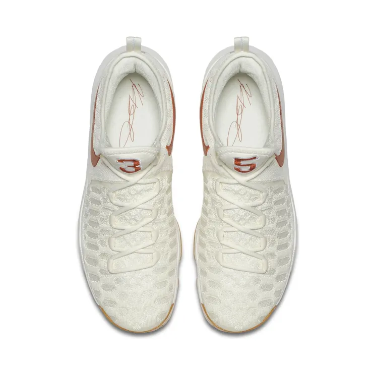 nike-kd-9 899640-110