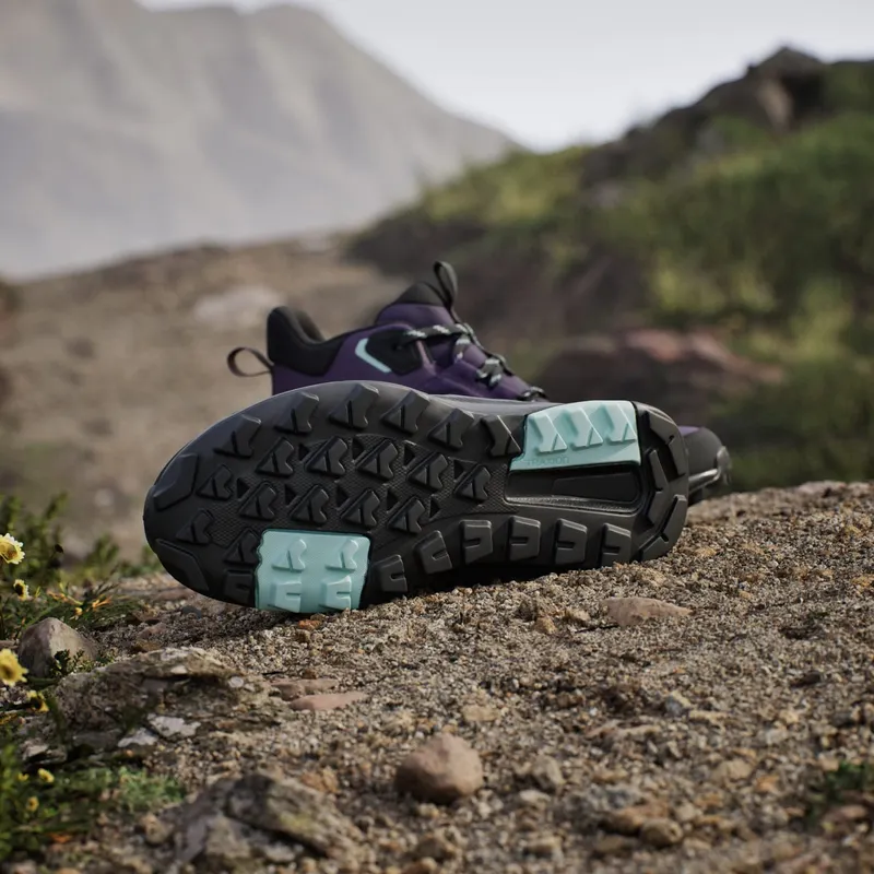 Adidas Terrex Anylander Mid RAIN.RDY Hiking Aurora Plum / Core Black / Trace Brown (JQ9966)