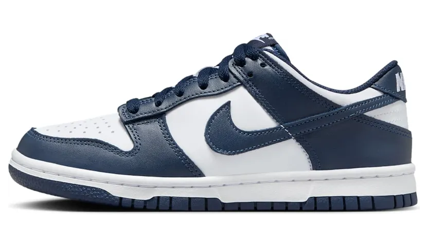 Nike Dunk Low FB9109-116