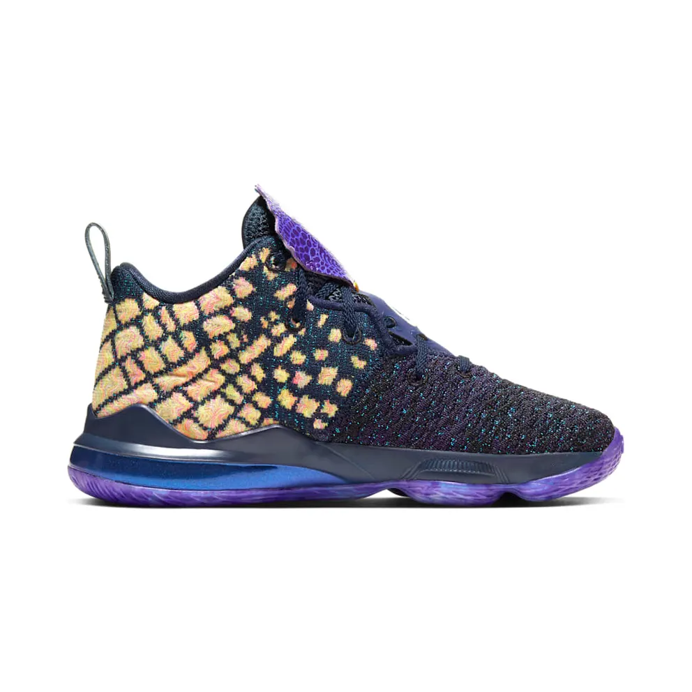 Nike LeBron 17 Monstars (PS) Navy Heather/Multi-Color-Black (CW1037-400)