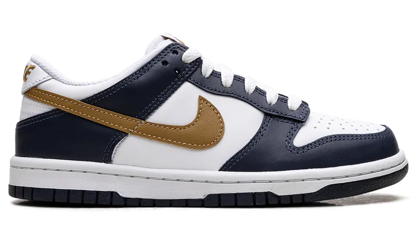 nike-dunk FB9109-111