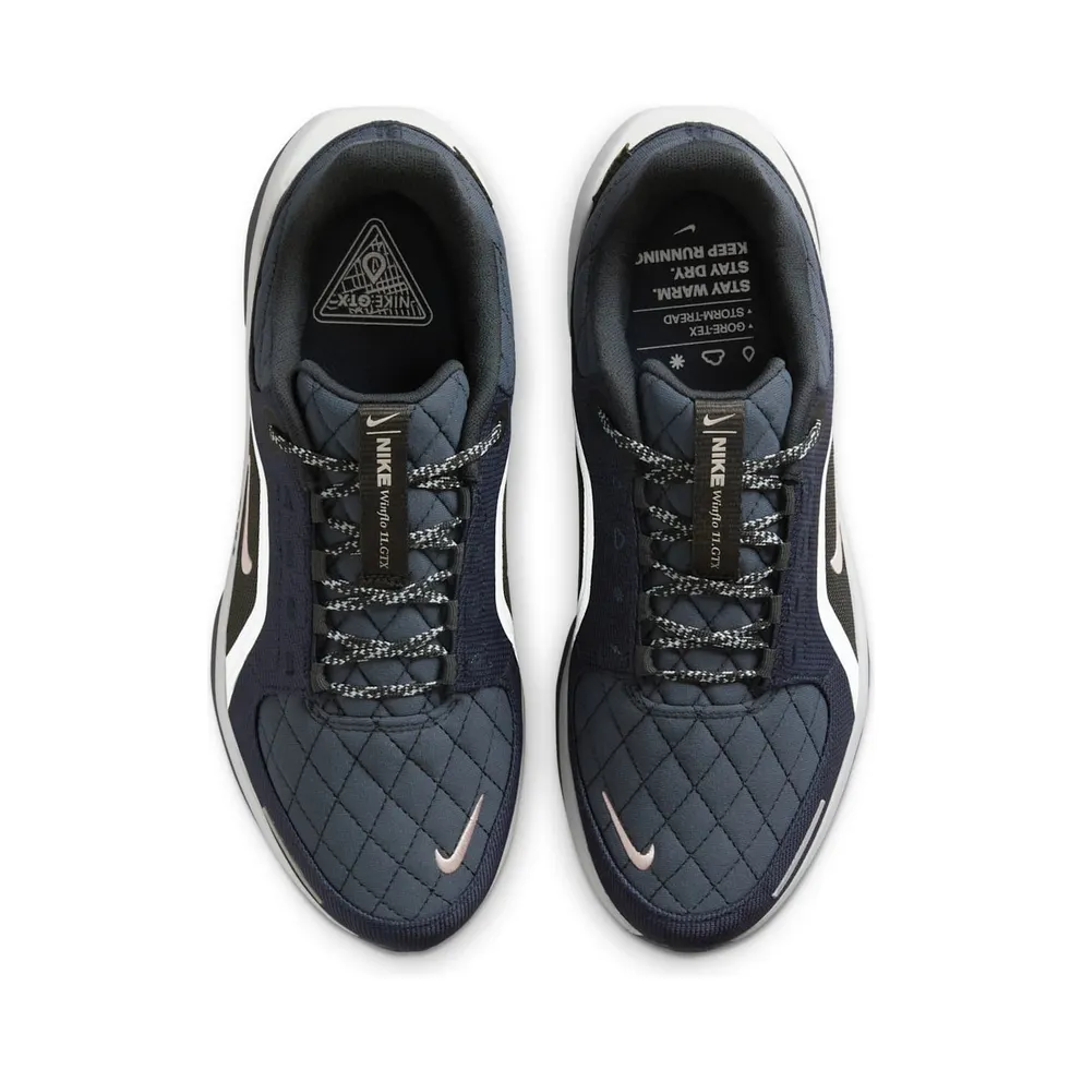 Nike Winflo 11 Gore-Tex Dark Obsidian Anthracite (FQ1359-400)