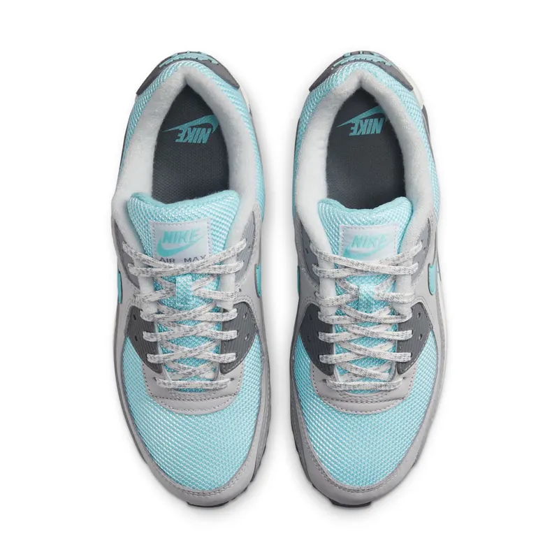 Nike Air Max 90 Grey (DQ0789-001)