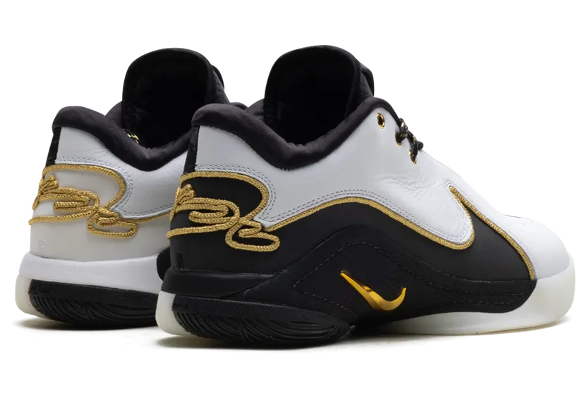 nike-lebron HV8454-100