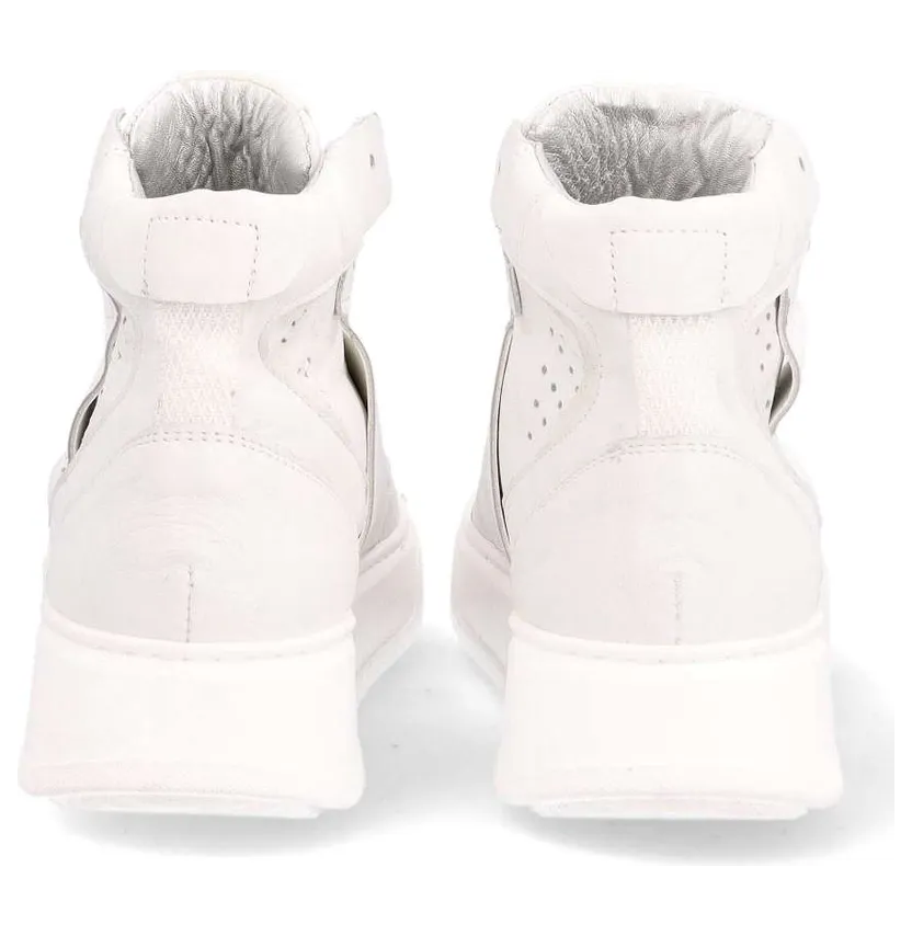 mjus-sneaker P56201.3